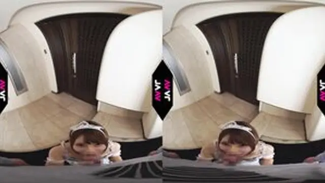 Japanese Vr video ZW