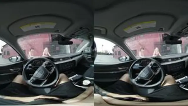 Bikini Car Wash