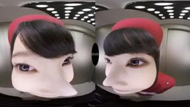 GOPJ-026