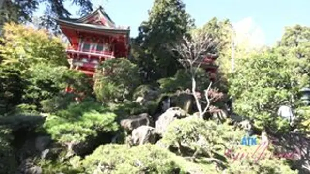Virtual Vacation Summer Renee Norcal Part 9