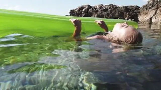 Nancy A - Pee By The Sea