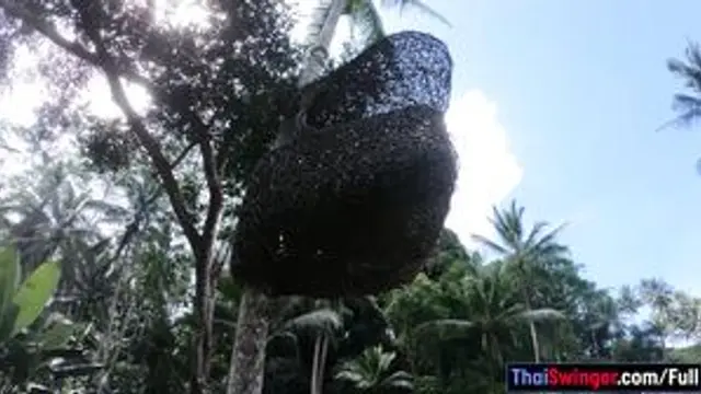 Big round ass Thai GF licked and fucked